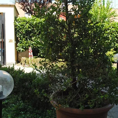 Hotel Octavia Rome