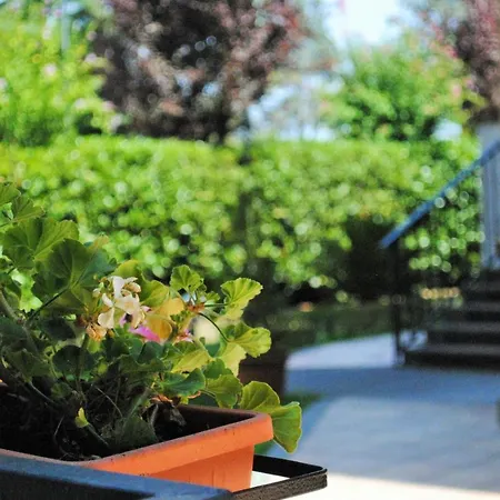 Octavia Ξενοδοχείο 3*